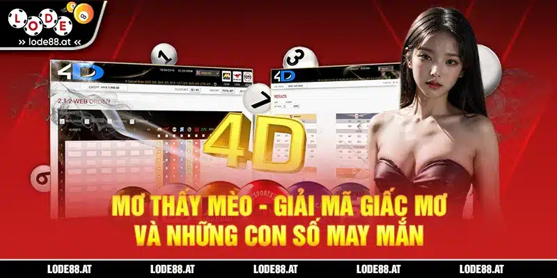 Mơ thấy mèo lode88